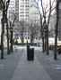 walk around town 3.JPG